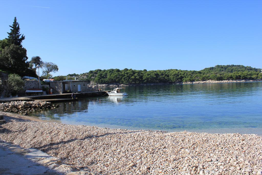Apartment Boris Zaton (Dubrovnik-Neretva)