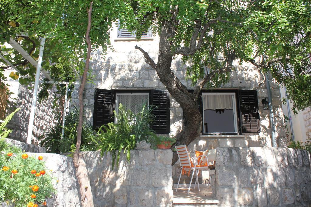Boris Apartment Zaton (Dubrovnik-Neretva)