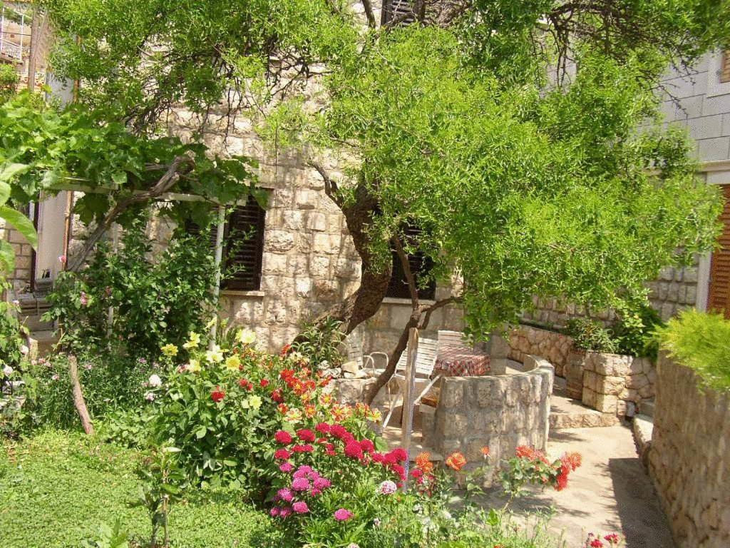 Apartment Boris Zaton (Dubrovnik-Neretva)